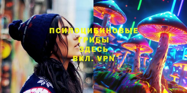 apvp Аркадак